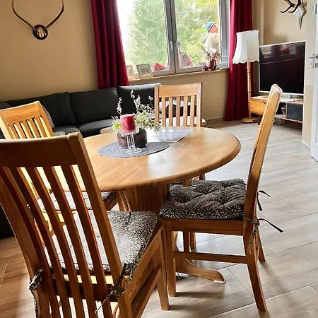 Ferienhaus Ii Zittertal Neustadt Harz Mit Grossem Garten, Kamin Und Fussbodenheizung