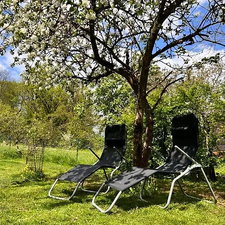 Ii Zittertal Neustadt Harz Mit Grossem Garten, Kamin Und Fussbodenheizung *